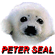 Uživatelský avatar