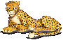 Uživatelský avatar