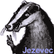 Uživatelský avatar