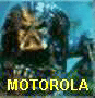 Uživatelský avatar