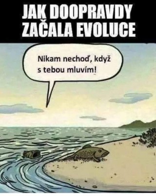 pocatek.jpeg