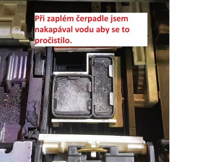 Bez názvu.jpg
