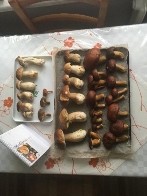 A to mně ještě nestačilo - odpoledne (k večeru) - kousek za městem :-o