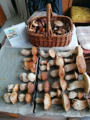 Včera bylo PO.
<br />Přestože tam přes víkend prošla "rojnice" :-)
