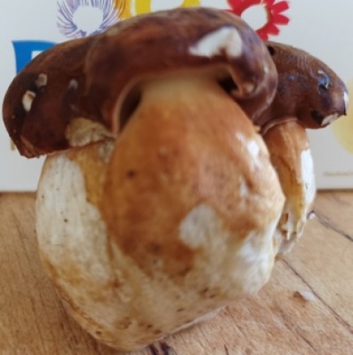 trojhřib.jpg