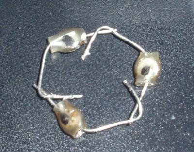 P1010004.JPG