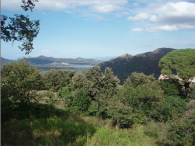 foto 1.jpg