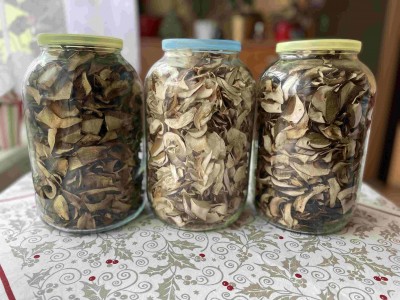 Zleva:
<br />"sinák" - hřib kovář
<br />"pravák" - hřib smrkový, dubový
<br />"suchohřib" - hřib hnědý