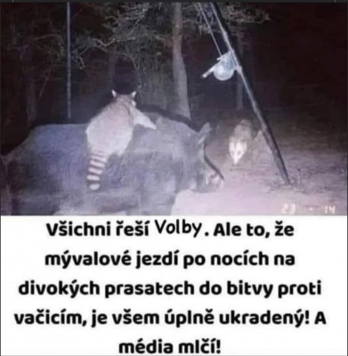 FB_IMG_1674723693314.jpg