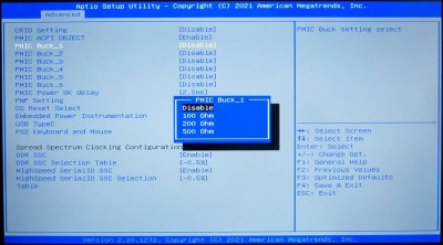 BIOS -> Advanced -> System Component -> PMIC Buck_1