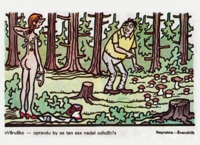 hříbař.jpg