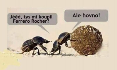 ferrero.jpg