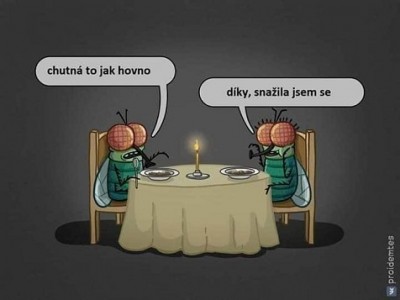 Snažila se, to se cení :)
