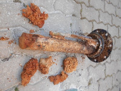 foto 201.jpg