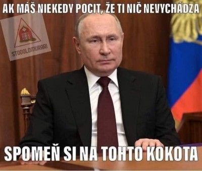 kokot.jpg