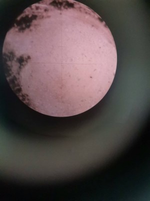 received_816651306046302.jpeg