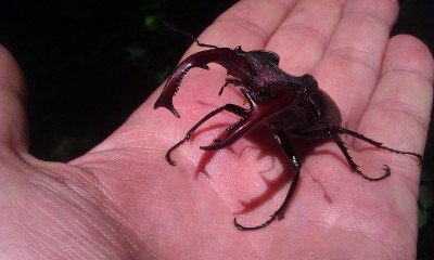 IMAG0860.jpg