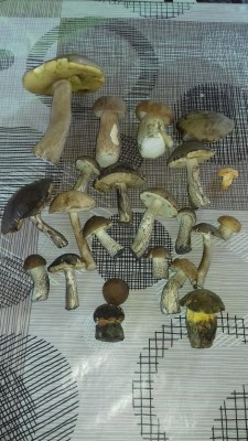 20230626_172657.jpg