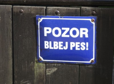 blbej pes.JPG