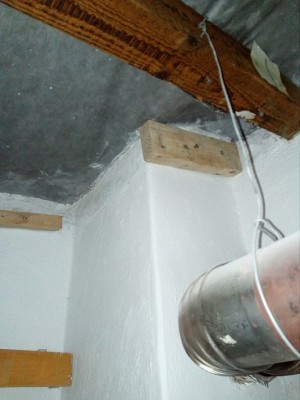 IMG_20230517_075801.jpg