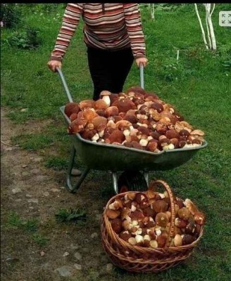 Tohle tě čeká :-)