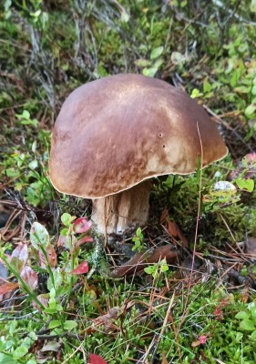 foto_2.jpg