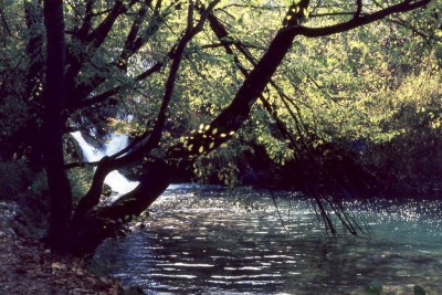 Plitvická jezera bez davů turistů, říjen 1983.
<br />Fomachrom D20, Praktica L2, objektiv Pentacon Auto MC 1,8/50, polarizační filtr.
<br />Sken z června 2020, bez korekcí.