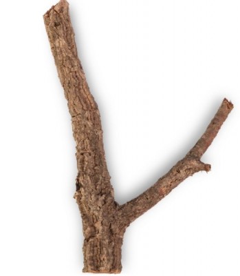Screenshot_727.jpg