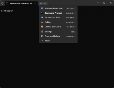 wsl.png