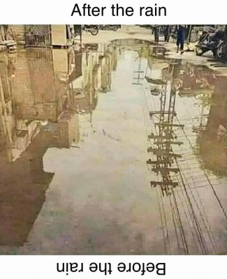 aftertherain.jpg