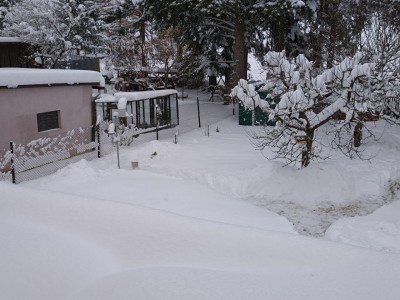 Zahrada pod sněhem.jpg