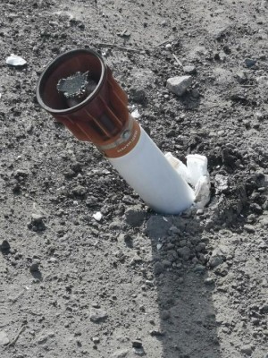 zapichnuta.JPG
