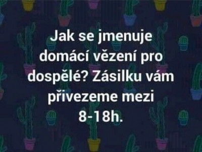 domácí vězení.jpg