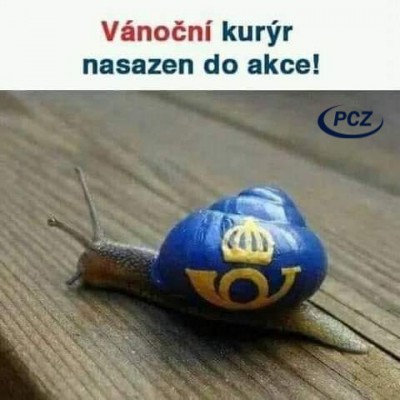 kuryr.jpg