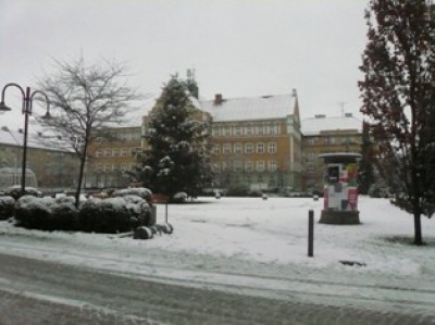 stromek a radnice.JPG