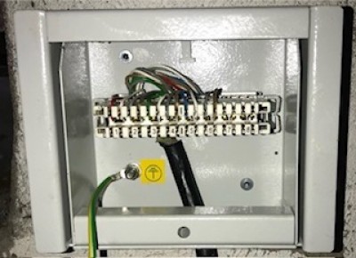 IMG_1611.jpeg