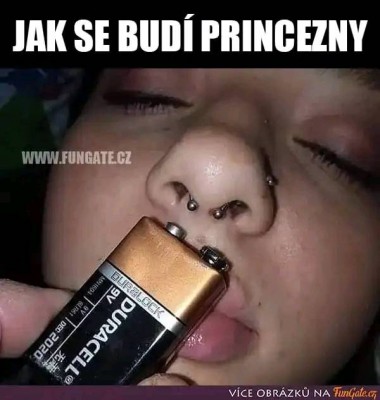jaksebudiprincezny.jpg