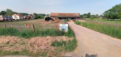 Mlíko.jpg