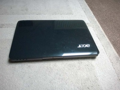 acer.jpg