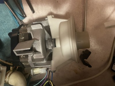 AEG 3.jpg