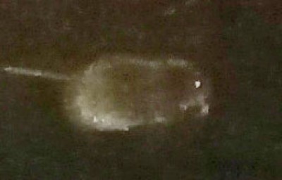 20240206_210938.jpg