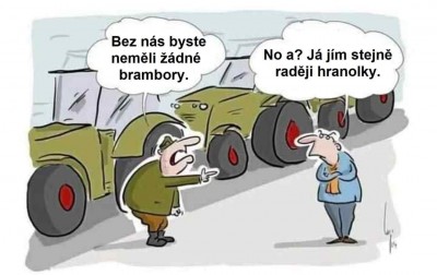 hranolky.jpg