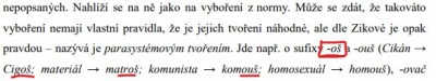 Snímek obrazovky 2024-02-15 173743.jpg