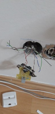 20240226_170741.jpg