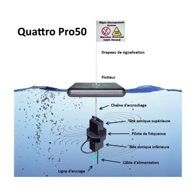 qattro_pro50.jpg