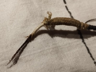 Licna