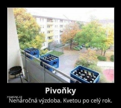 Pivoňky.jpg