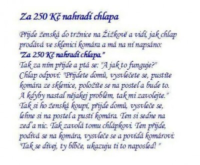 komár.jpg