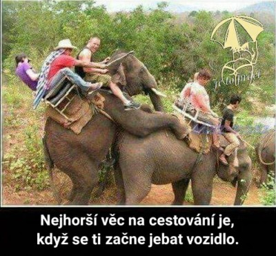 sloni.jpg