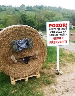sex na poli.jpg